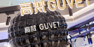 <?php the_title(); ?>