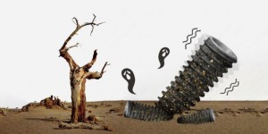 <?php the_title(); ?>