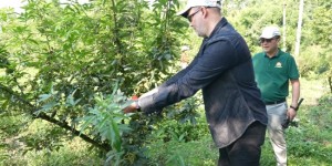 <?php the_title(); ?>