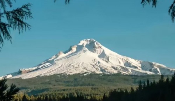 用“过程赞美”，点燃孩子心里的“永动机”——东方心语