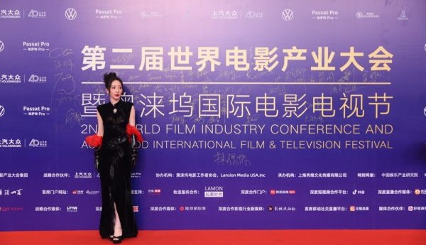 柳岩闪耀上汽大众帕萨特Pro之夜，黑色礼服加冕影后桂冠