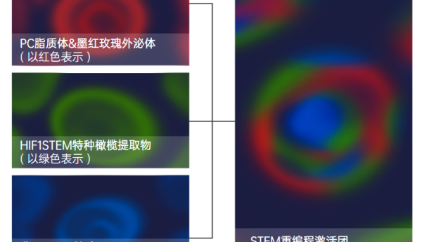 精准分层抗衰新突破！BEAUTY RUSH精雕饮X核心升级成分分析