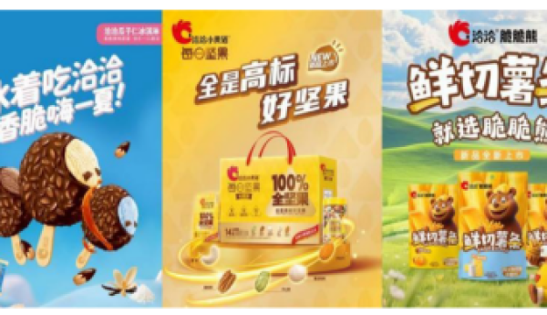 洽洽瓜子安全筑底，合肥新品发布会携五大战略级产品，开启健康零食转型新程