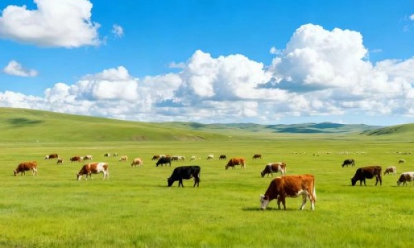 孩子“不想上学”？东方壹心帮孩子重新爱上校园