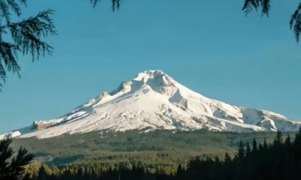 用“过程赞美”，点燃孩子心里的“永动机”——东方心语