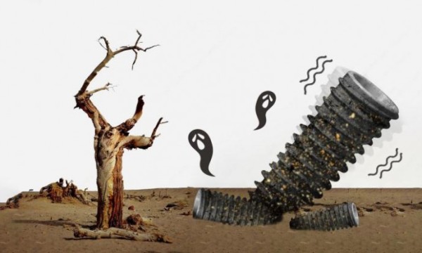 为“一生之用”投资：选择一颗不会“老化”的种植牙